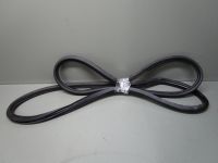 Dichtung Trrahmen Einstieg links vorn <br>MERCEDES VITO (W639) 111 CDI