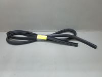 Dichtung T�rrahmen Einstieg links vorn <br>VW CADDY III 3 03-10 2K