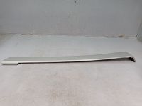 Blende rechts hinten Führungsschiene Brillantsilber (MB 9744)<br>MERCEDES VITO W639 111 CDI