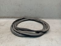 Dichtung Türrahmen Einstieg Schiebetür rechts<br>FORD TRANSIT CUSTOM V362 BUS (F3) 2.0 ECOBLUE