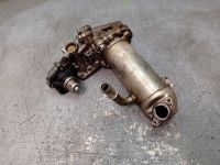 Abgaskühler Kühler AGR-Kühler <br>FORD TRANSIT V363 (FCD, FDD) 2.0 TDCI RWD