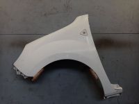 Kotfl�gel links Ice White BC (389)<br>RENAULT KANGOO (KW0/1) 1.5 DCI