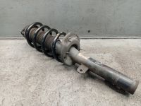 Federbein Sto�d�mpfer vorne links <br>FORD TRANSIT V363 KASTEN  2.0 ECOBLUE